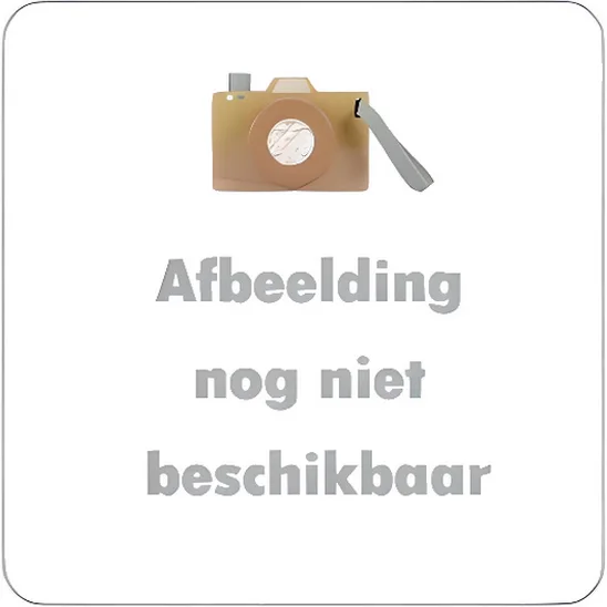 Activiteitenkubus Lucky Leaves NIJN462