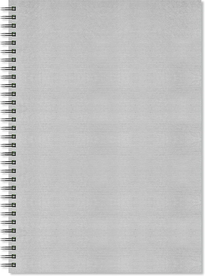 Artgecko Artgecko Flashy Spiral-Skizzenbuch A3 Hochformat 150 g 40 Blatt Silberner Einband