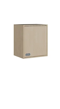 Aufsatzregal / Hängeregal mit 1 Tür, Höhe 60 cm