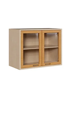 Aufsatzregal / Hängeregal mit 2 Acrylglastüren, Höhe 60 cm