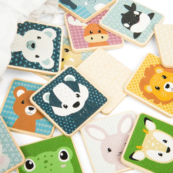 Bigjigs Toys Animal Match