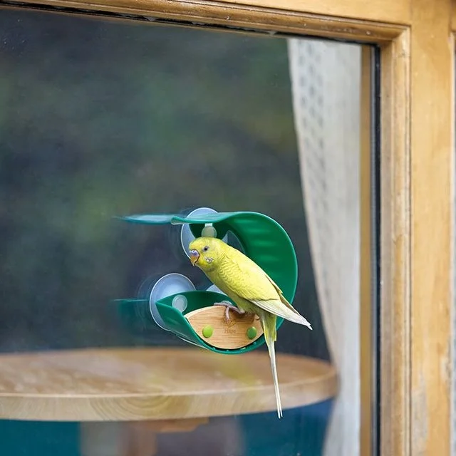 Bird Feeder