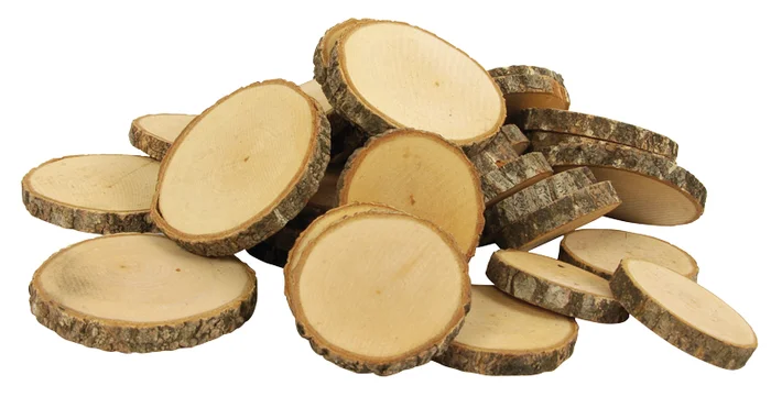 Birkenholzscheiben groß zwischen 4 und 7,5 cm Ø – 1kg