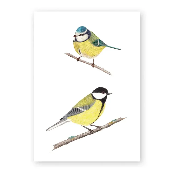 Blaumeise u. Kohlmeise Geschäft