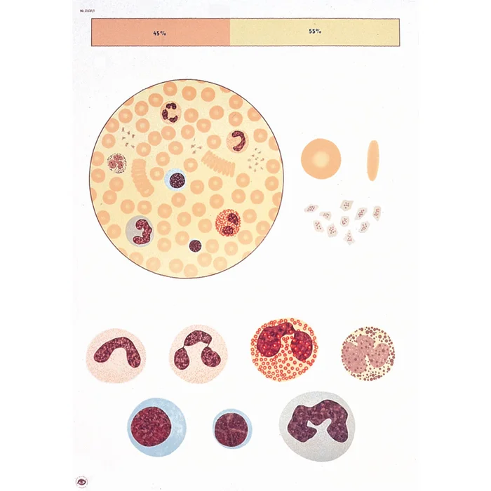 Blut I, Zusammensetzung – mit Holzbestäbung | W-21140M