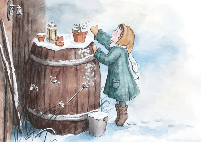 Christrose im Garten