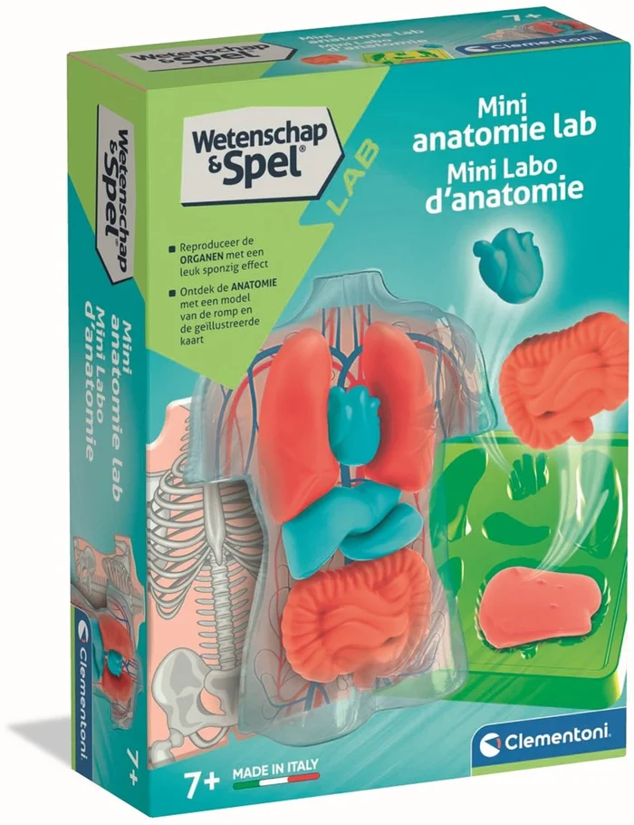 Clementoni Wetenschap & Spel – Squishy Anatomie