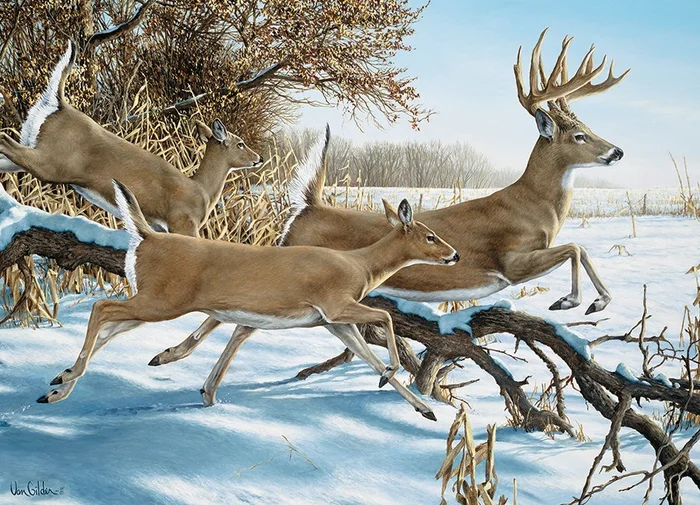 Cobble Hill Breaking Cover – 1000 Teile