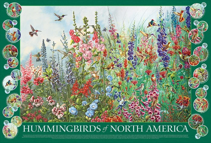 Cobble Hill Hummingbirds of North America – 2000 Teile