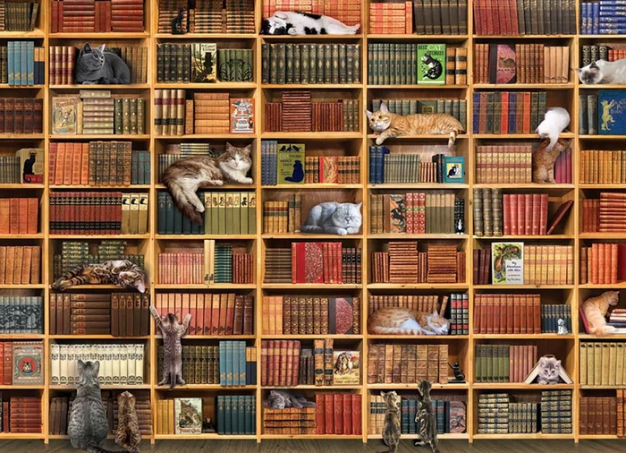 Cobble Hill The Cat Library – 1000 Teile