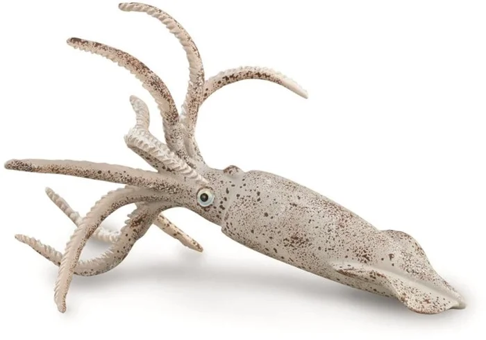 COLLECTA Belemnit – (L)