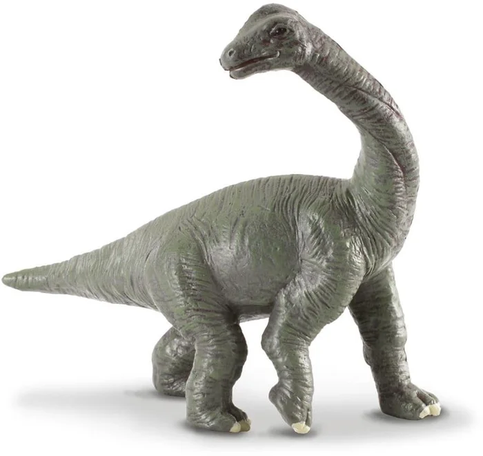 COLLECTA Brachiosaurus Baby – (S)