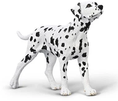 COLLECTA Dalmatiër – (M)