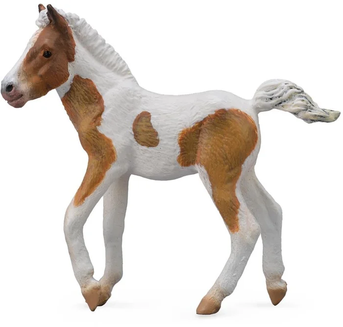 COLLECTA Dartmoor Hill Fohlen – (M)