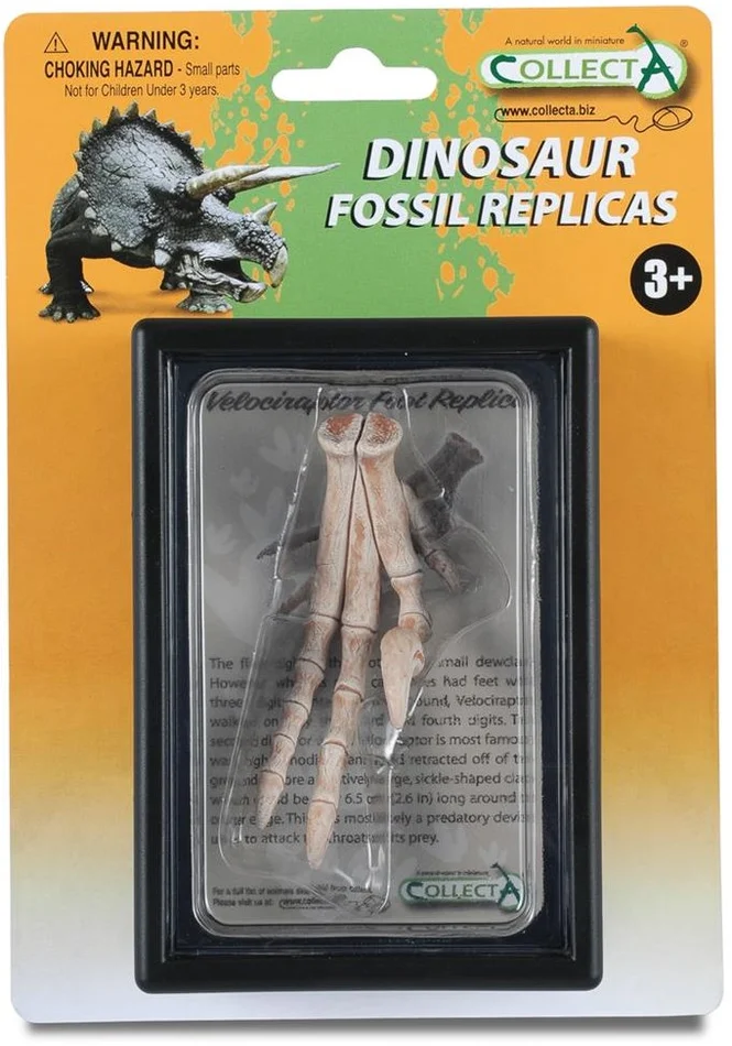 Collecta Gift Set – Prehistorie