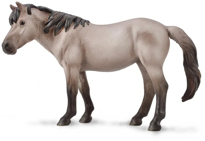 COLLECTA Konik Mare Wildcolor – (XL)
