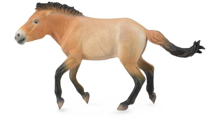 COLLECTA Przewalski-Hengst – (XL)
