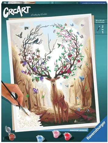 CreArt Schilderen op Nummer – Magnificent Encounter