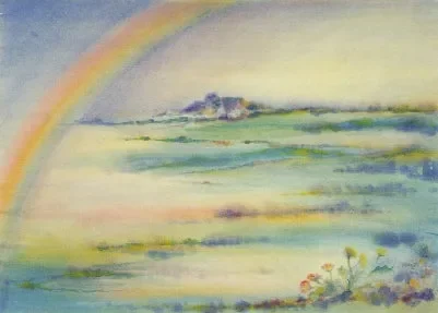 Das Gänseblümchen und der Regenbogen