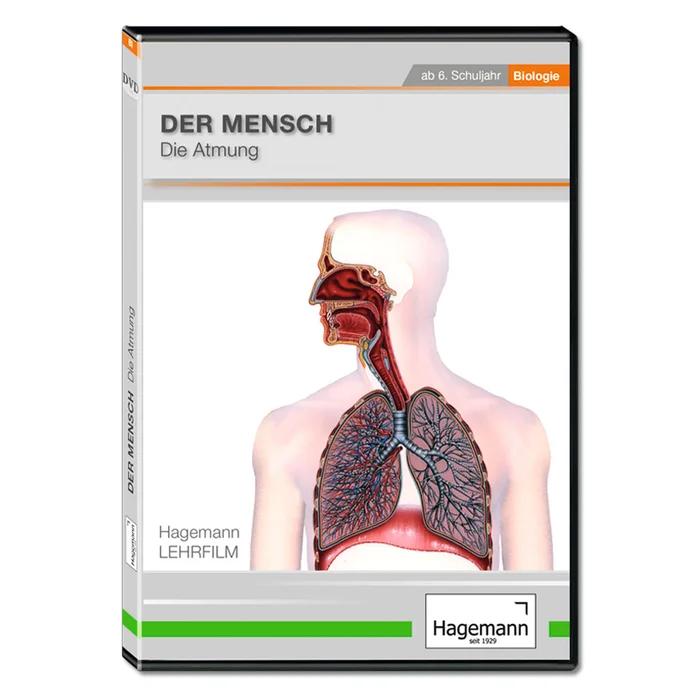 Der Mensch: Die Atmung bei Wiemann-Lehrmittel bestellen
