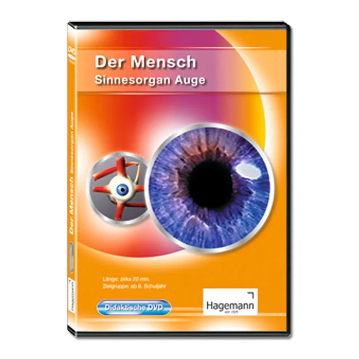 Der Mensch: Sinnesorgan Auge bei Wiemann-Lehrmittel bestellen