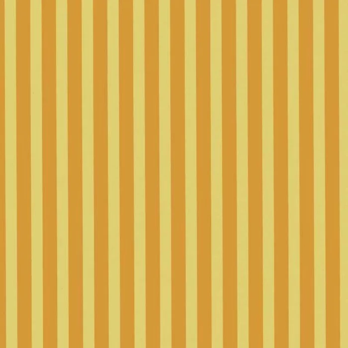 Dessin GP41 30cm * 100m