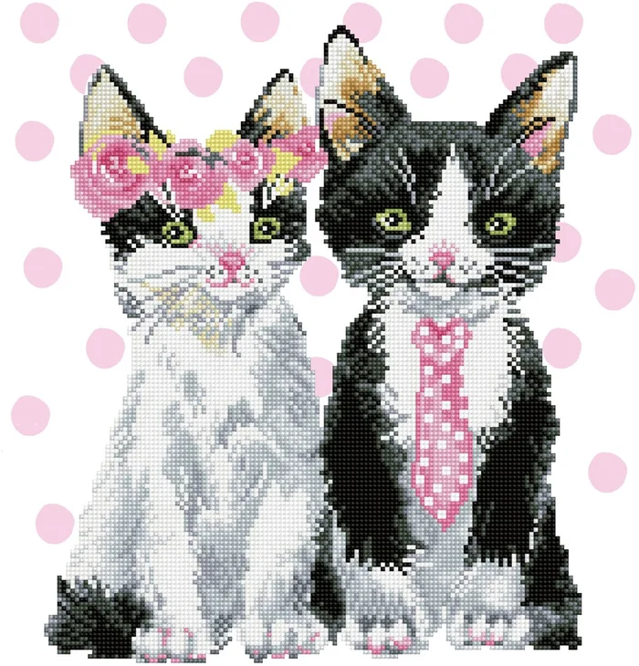 Diamond Dotz Diamond Dotz – Mr & Mrs Pink