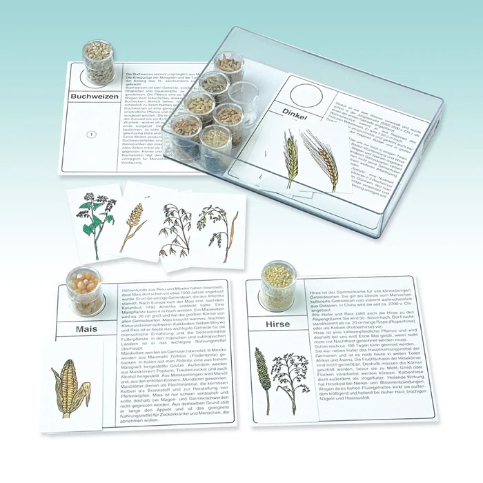 Die Körnerkiste und andere Arbeitskarten – hier online bei Wiemann Lehrmittel kaufen