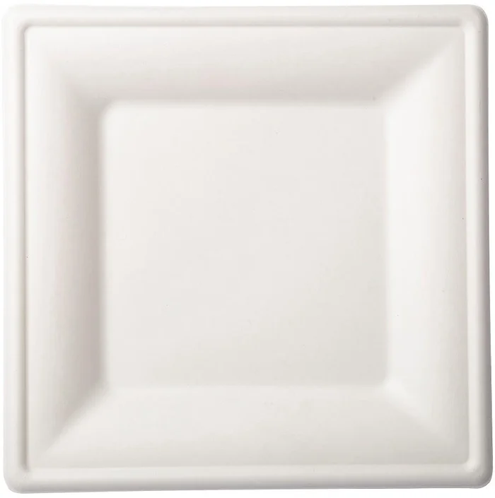 Duni BioPak Bagasse borden vierkant 26cm 10 stuks