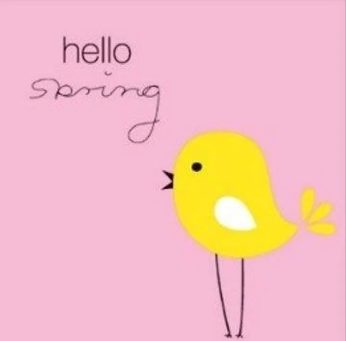 Duni servetten Hello Spring 3-laags 33×33