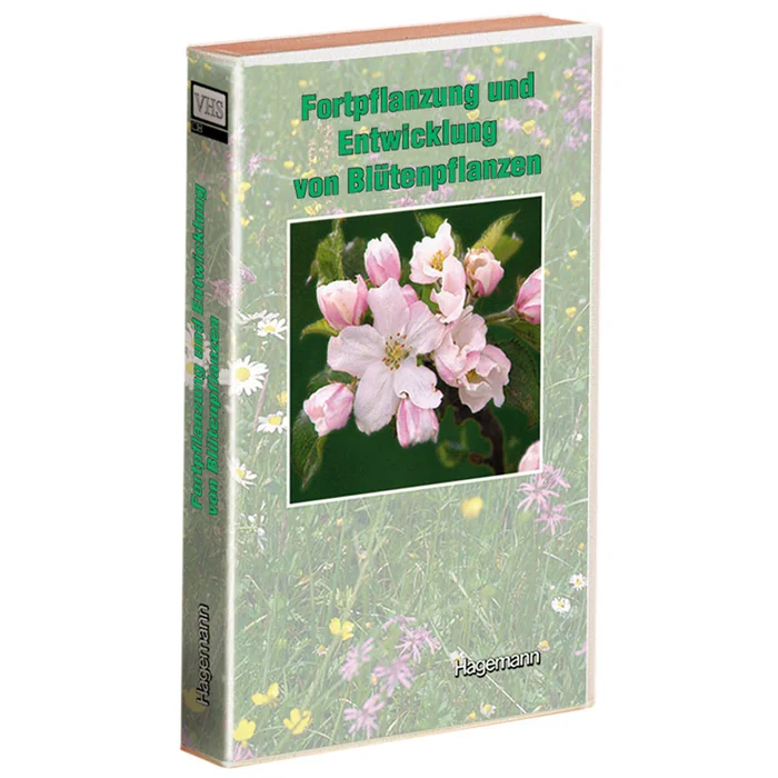 DVD Fortpflanzung und Entwicklung von Blütenpflanzen bei Wiemann-Lehrmittel