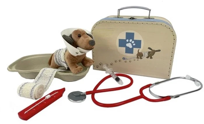 Egmont Toys Koffer Tierarzt 29x20x4 cm