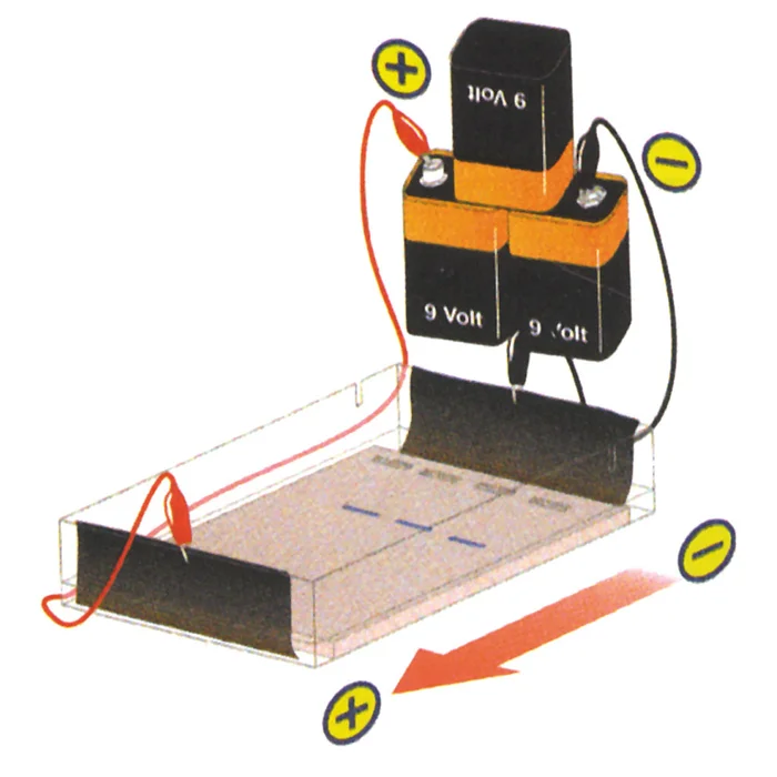 Elektrophorese von Farbstoffen | W-21384