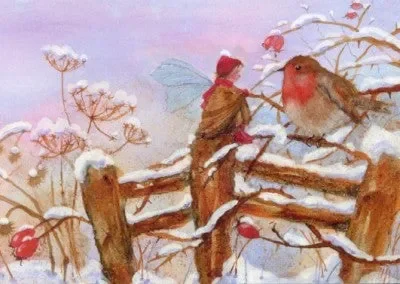 Elfenland Rotkehlchen Für Sie