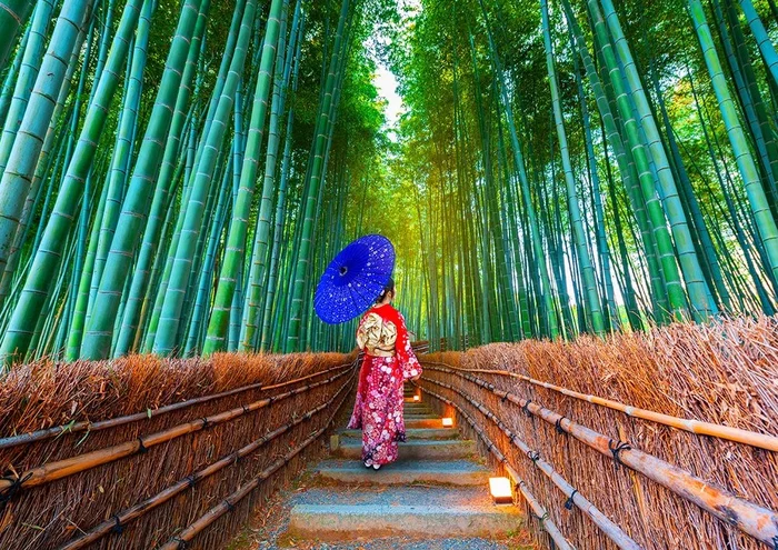 Enjoy Puzzle Asian Woman in Bamboo Forest – 1000 Teile