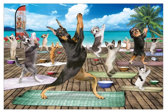 Eurographics puzzle XXL Teile – Yoga Spa – 500 Teile