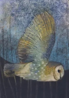 Fliegende Schleiereule Im Angebot