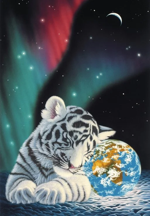 Grafika Schim Schimmel – Earth Light – 12 Teile