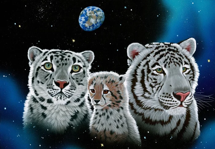 Grafika Schim Schimmel – Gentle Family – 12 Teile