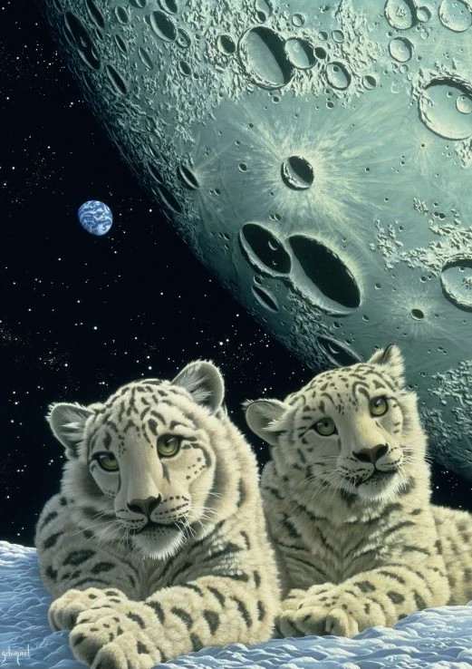 Grafika Schim Schimmel – Lair of the Snow Leopard – 2000 Teile