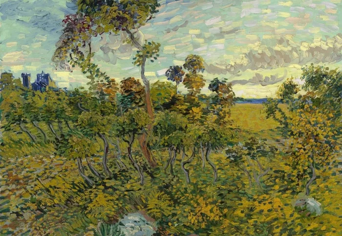 Grafika Van Gogh Vincent – Coucher de Soleil à Montmajour, 1888 – 1000 Teile