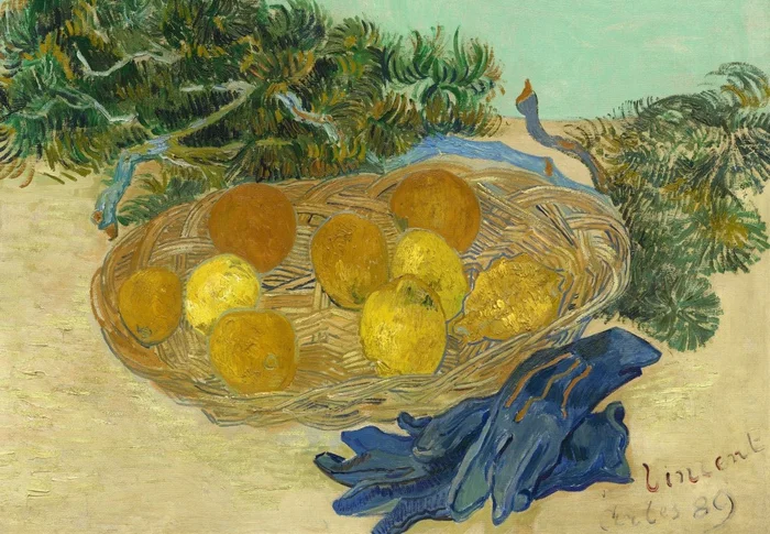 Grafika Vincent Van Gogh – Still Life of Oranges and Lemons with Blue Gloves, 1889 – 12 Teile