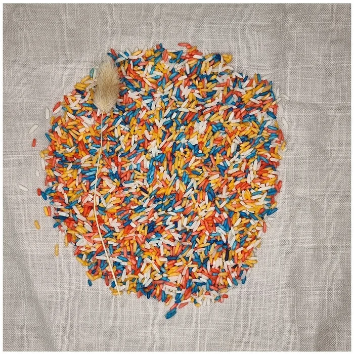 Grennn speelrijst nederlandse mix 500 gram