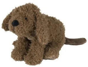 Happy Horse Labradoodle Larry