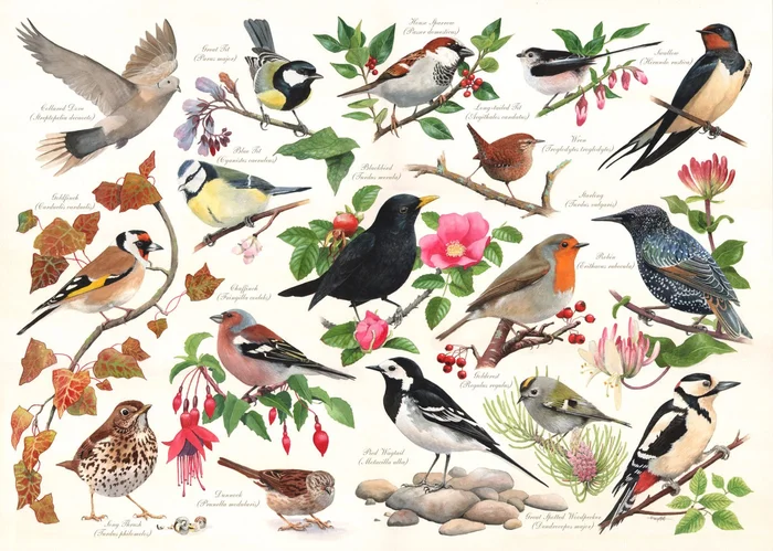 House of Puzzles Birds In My Garden 1000 Piece Puzzle