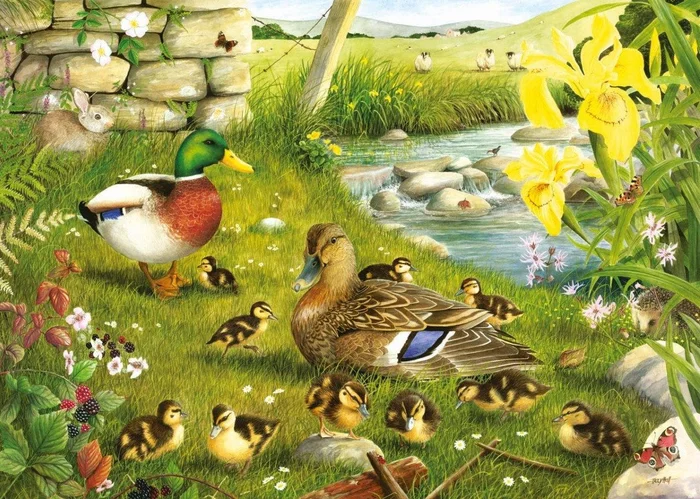House of Puzzles Ducks To Water BIG 500 Puzzle