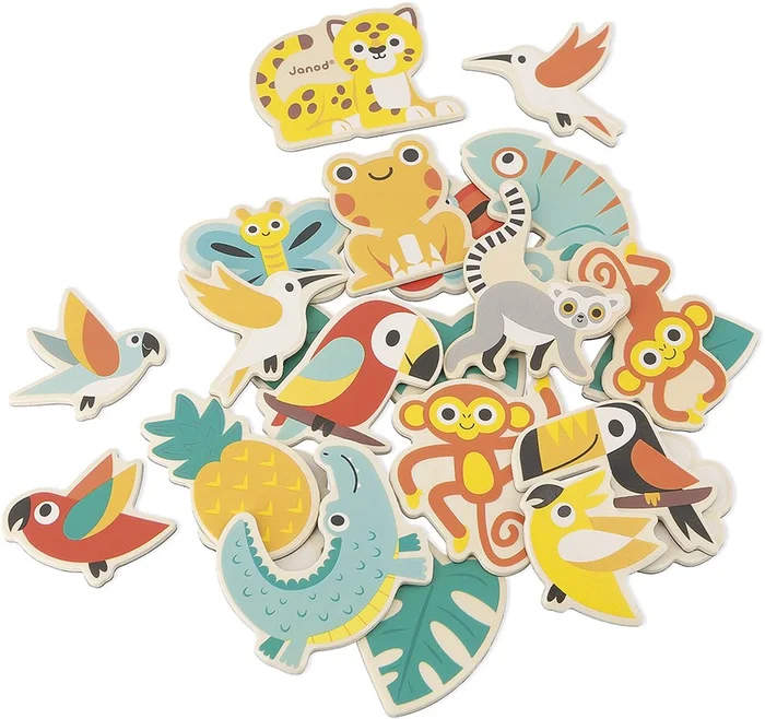 Janod Tropik Magnetsatz (24)