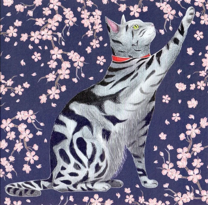 Kaart+envelop. Sakura Poes. 16×16 cm
