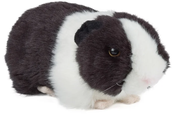 Living Nature Black Guinea Pig with Sound