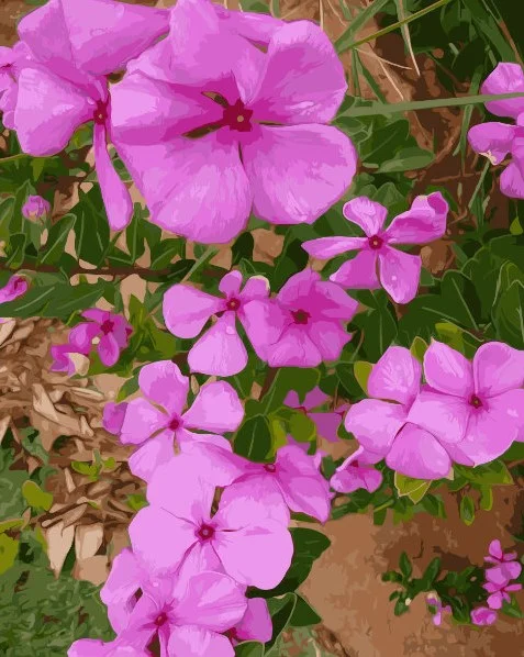 Malen nach Zahlen Blume lilaPBND4007